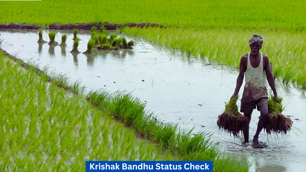 Krishak Bandhu Status Check 2025